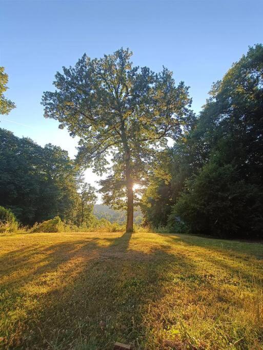 Maison Canadienne Dans La Foret