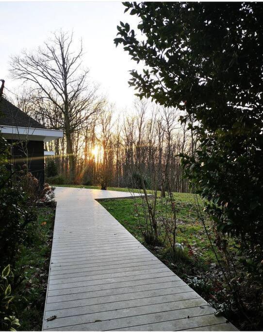 Maison Canadienne Dans La Foret *